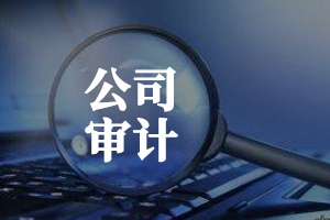審計 審計