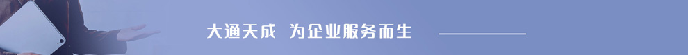 大通天成，為企業(yè)服務(wù)而生。