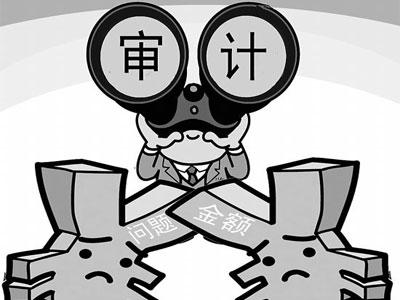 什么是財稅審計