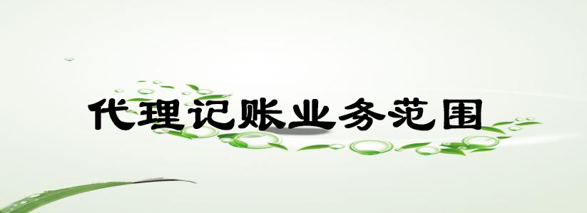 代理記賬業(yè)務范圍