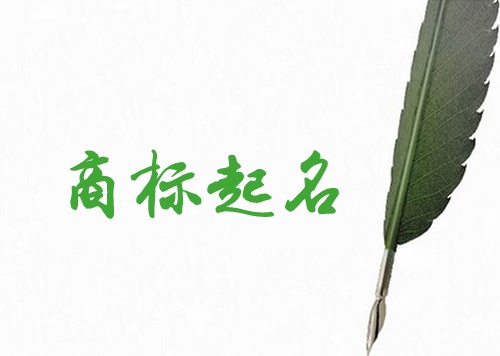商標(biāo)注冊名稱