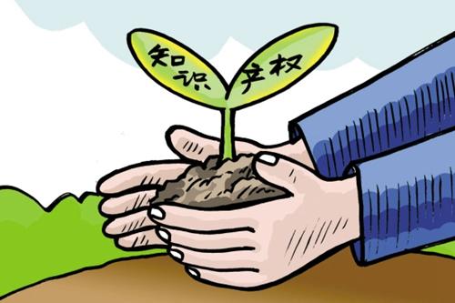 國(guó)家知識(shí)產(chǎn)權(quán)局侵權(quán)懲罰性賠償最高可罰500萬(wàn)元