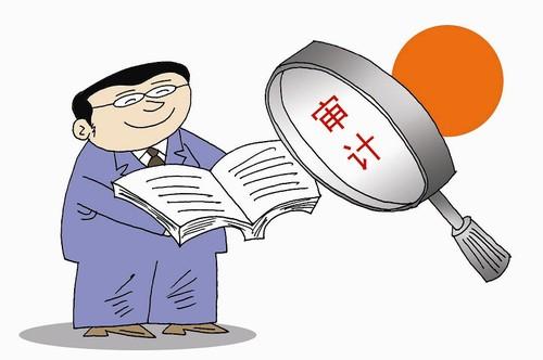 各種專項(xiàng)審計(jì)的目的是什么？
