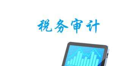 什么是稅務(wù)審計?稅務(wù)審計具備哪些職能?