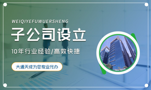 子公司設立條件,公司設立手續(xù)