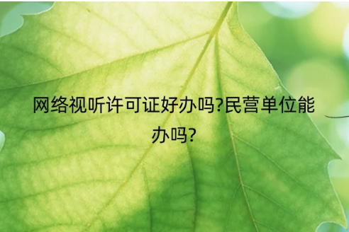 網(wǎng)絡(luò)視聽許可證好辦嗎?民營單位能辦嗎?