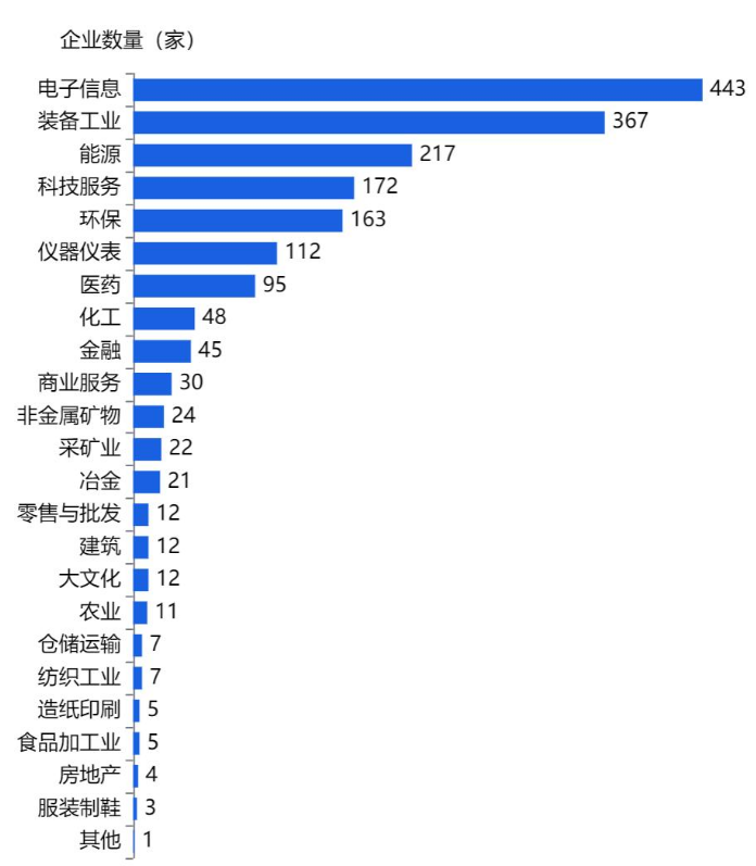 北京市專(zhuān)精特新小巨人企業(yè)產(chǎn)業(yè)分布