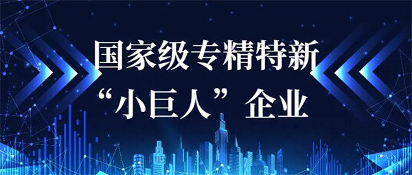專(zhuān)精特新小巨人申報(bào)條件有哪些？