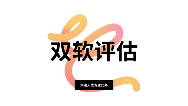 企業(yè)雙軟評(píng)估申請(qǐng)指南